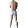 WangJiang Nylon Mesh Boxer Shorts with Cock Sock