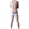 Polyester Boxer Shorts by WangJiang
