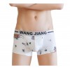 Nylon Boxer Shorts by WangJiang